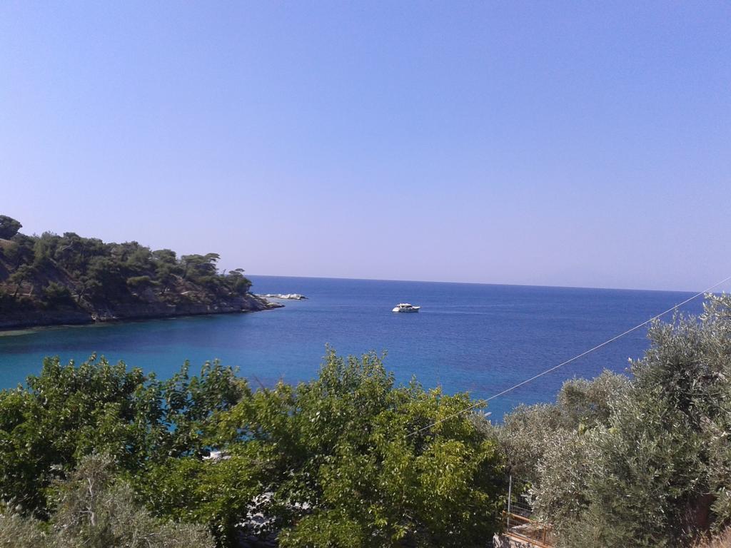 Studio Julius Κονστάντζα Εξωτερικό φωτογραφία